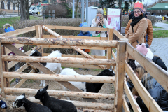 6 ZWOLEŃSKI ORSZAK TRZECH KRÓLI