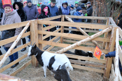 6 ZWOLEŃSKI ORSZAK TRZECH KRÓLI