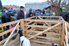 6 ZWOLEŃSKI ORSZAK TRZECH KRÓLI